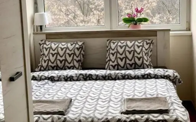 Sunkissed apartment
