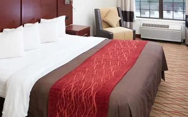 Comfort Inn Central Auburn