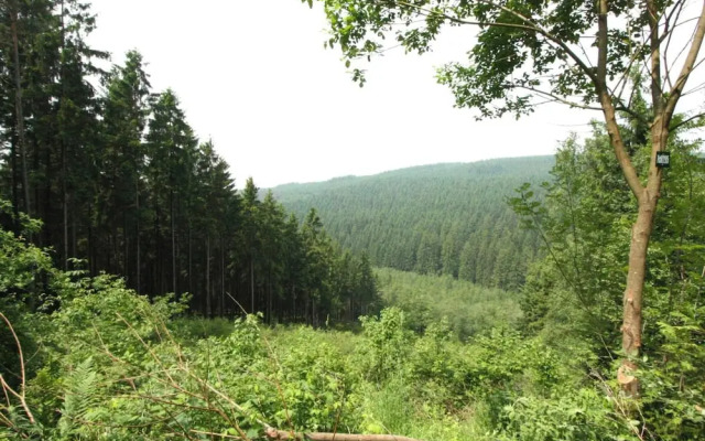 Apartment in Ondenval Near Malmedy