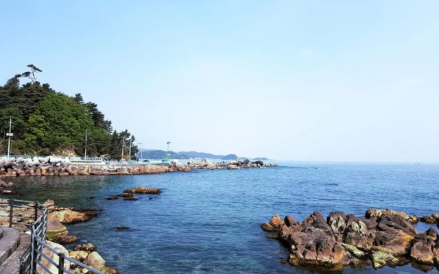 Yangyang Y Pension