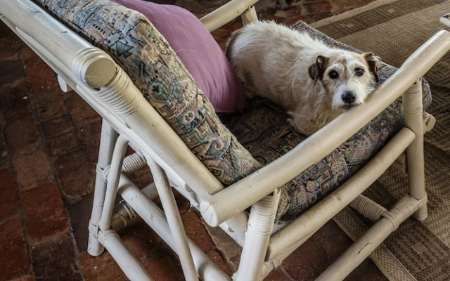 Bulwarra Bed & Breakfast