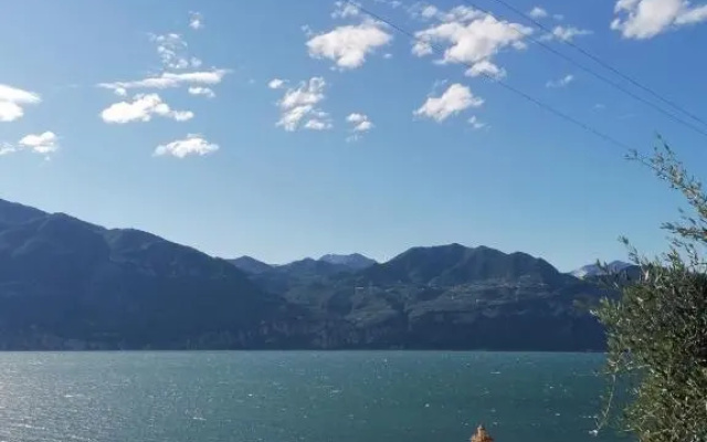 Dal Mariano