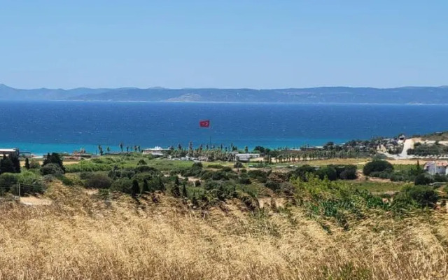 Zeytiny l Tiny Houses & Farm l Çeşme