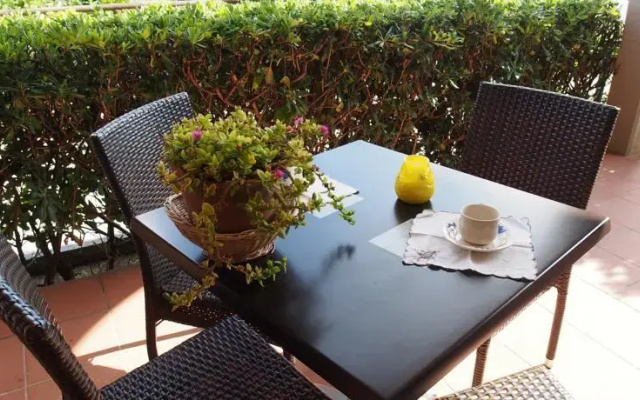 Sun Paradise Apartment