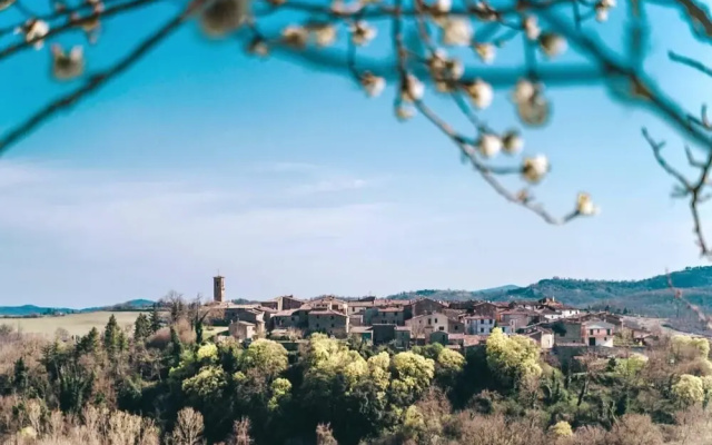 Stunning 1-bed Apartment in Montalcinello