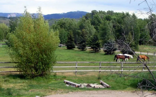 The Sassy Moose Inn