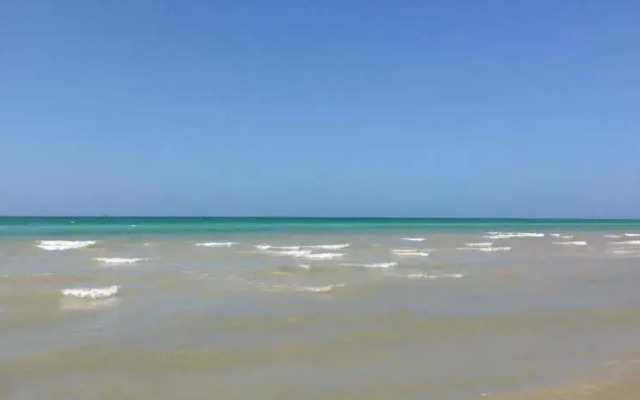 Zocalo Beach