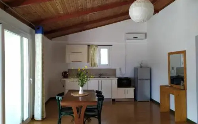 Tonea's Houses