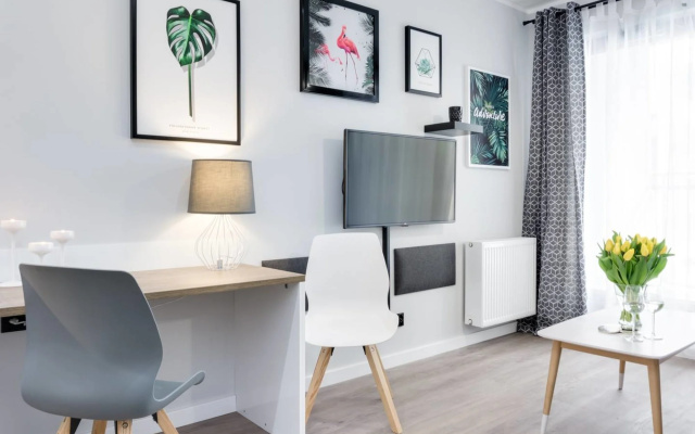 Modern Studio Apartment