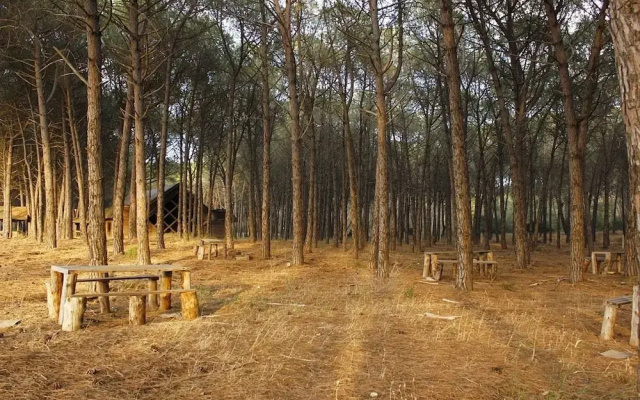 Falanto Camping Village