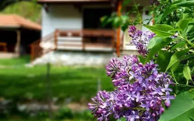 Kirilova House
