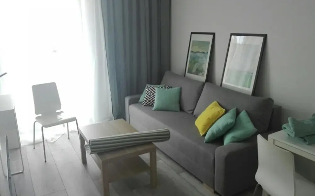 Penguin Apartments City Center Dmowskiego