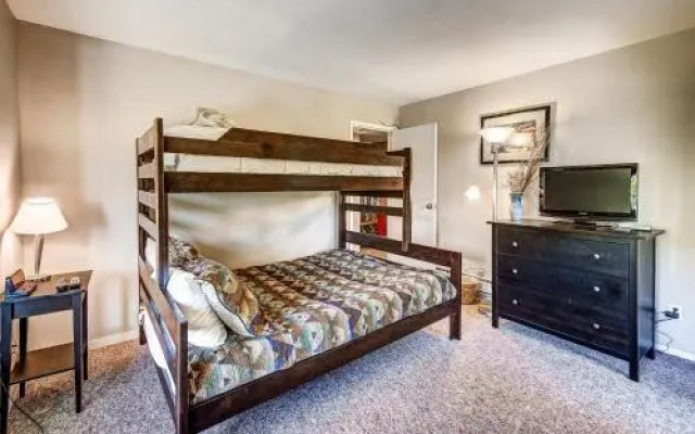 1088 Wild Irishman Condo