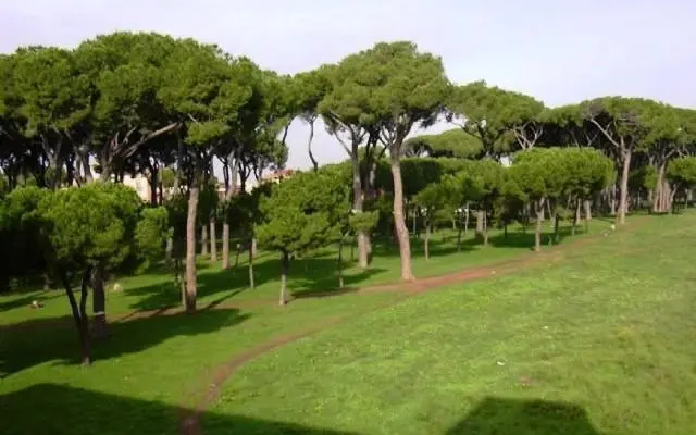 La Casa delle Peonie