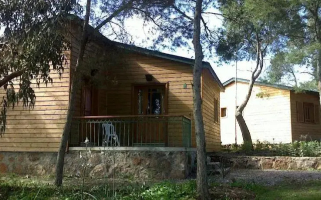 Azzaifun