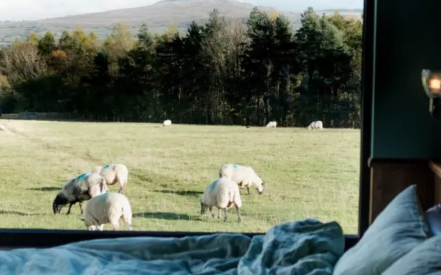 Rest + Wild Shropshire Hills