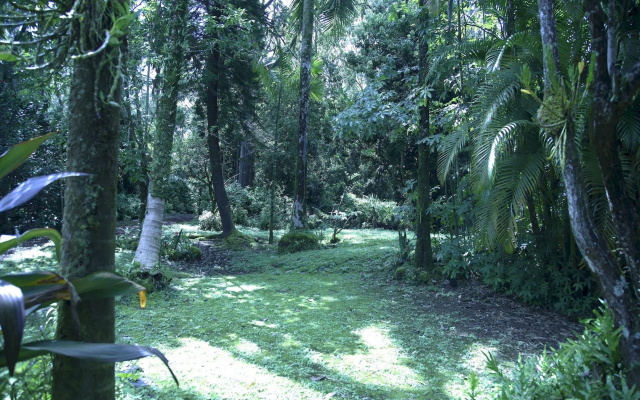 Enchanted Gardens
