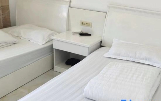 Z+ Da Fuhao Hotel (Taixing Road)