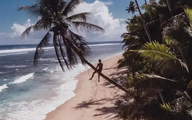Bamboo Surf Beach