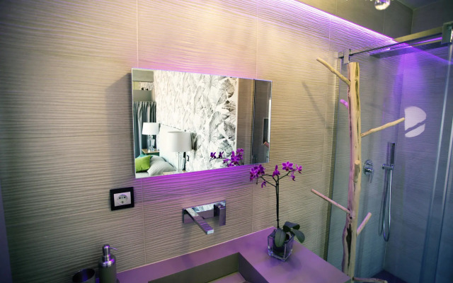Blue Bird Suite