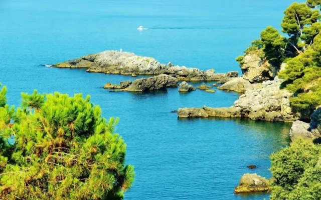 Gambero Nero