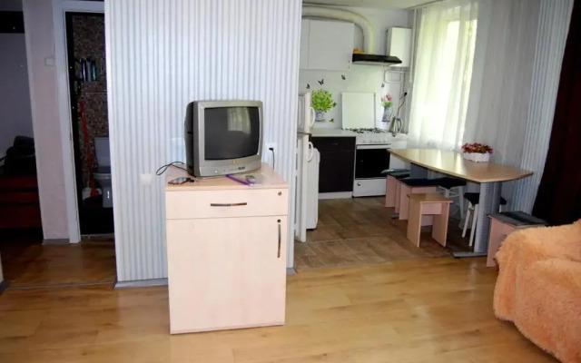 Standard Apartment on Umanskaya