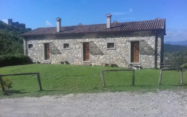 Le Chianine dei Tognoli