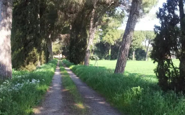 I Mori Gelsi - Fattoria Spinola