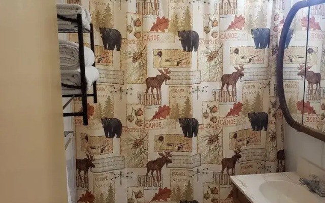 lazy bear cabins