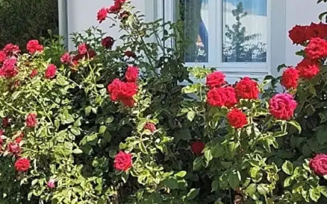 Boutiquehotel Drei Ringe
