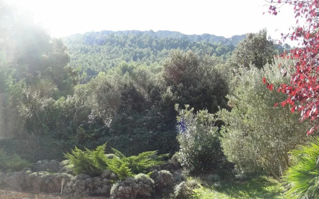 Studio in Roquefort-la-bédoule, With Pool Access, Enclosed Garden and