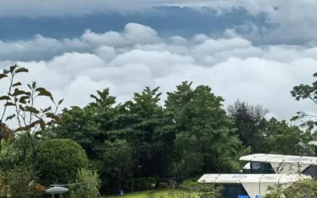 Chashan Bamboo Sea Stargazing Camping Base