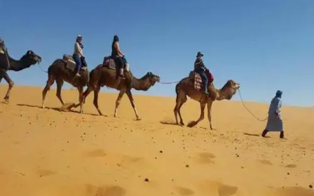 Nomad Bivouac