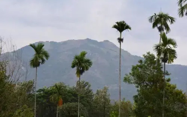 The mountain Resort