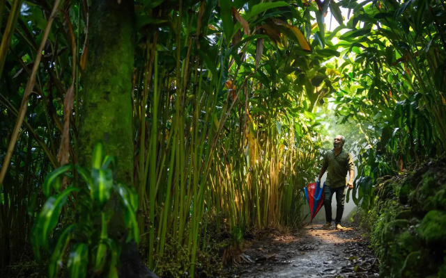 Blue Bells Valley Resort-Munnar.