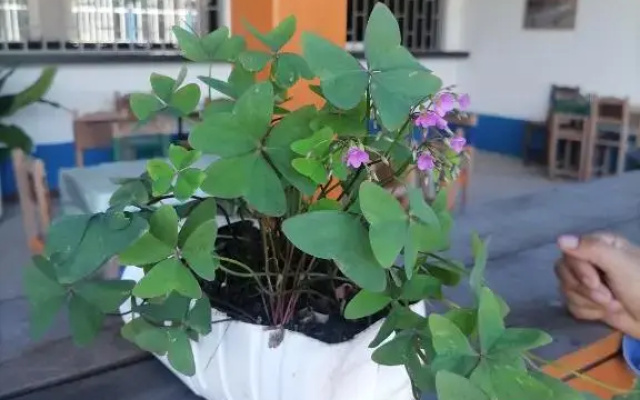 Hotel campestre la Maria
