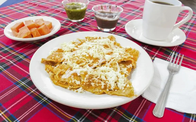 OYO Hotel San José Purua