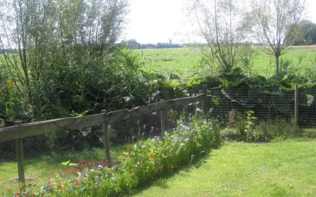 Bed & Breakfast "Gastenverblijf-FINKUM"