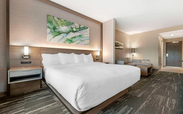 Best Western Plus Grand Rapids MN