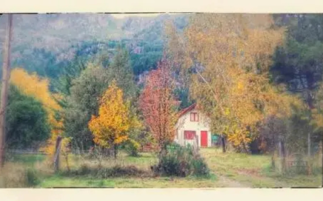 Cabaña Ucihuen