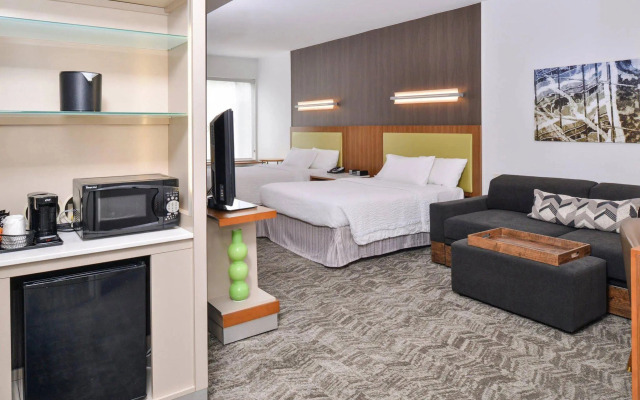 SpringHill Suites by Marriott Ashburn Dulles North