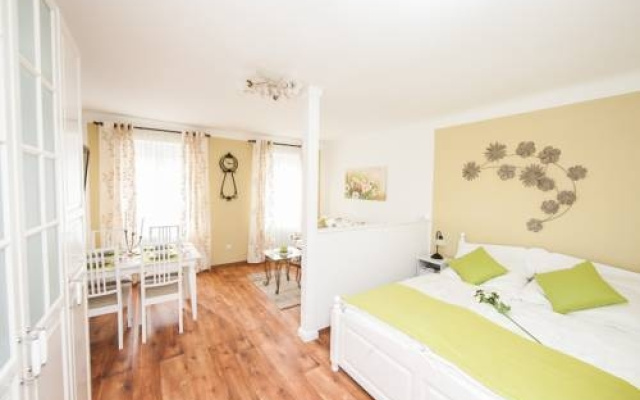 Traditional Apartments Vienna TAV - Entire