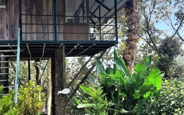 Noah's Nest Tree House