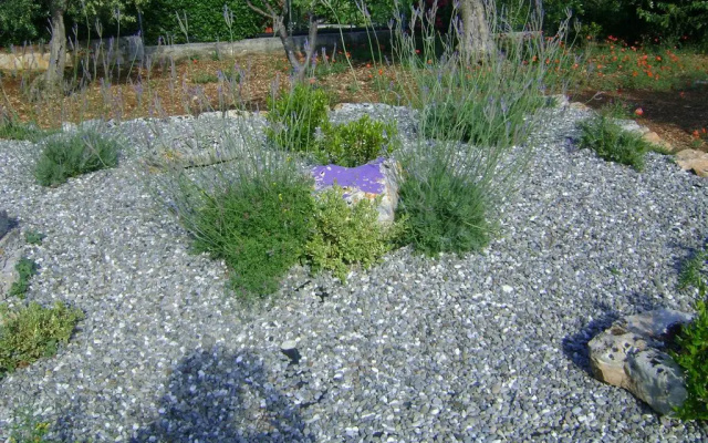 B&B Tenuta Ranieri