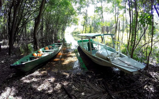 Amazon Tupana Jungle Lodge