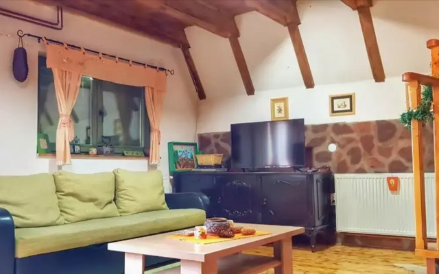 Apartment Todorovic