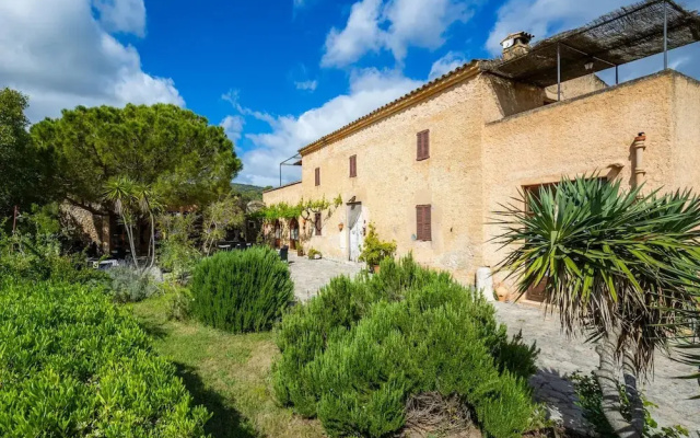 S Hort De Sa Bagura - Es Tarongers