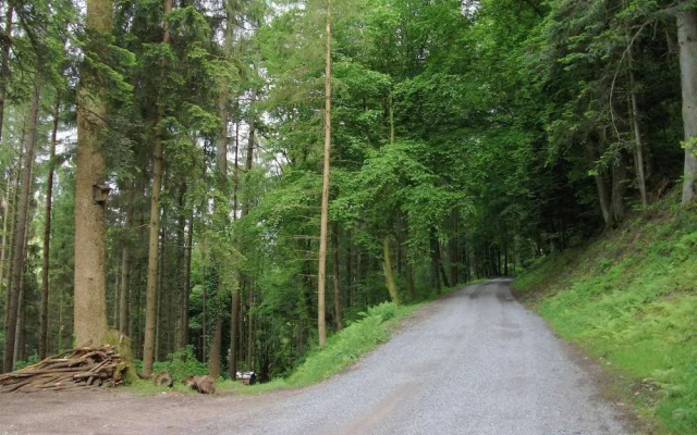 Ferienwohnung in Schiltach