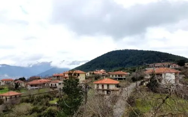 Guesthouse Anatoli Levidi