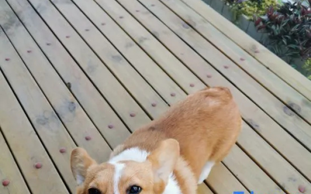 MR.6 sea view Inn